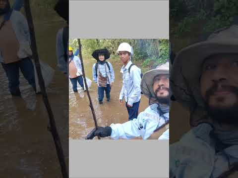 La loma - El paso - Cesar en 1 minuto #bosques #cesarcolombia #naturaleza #viralshorts #forestal