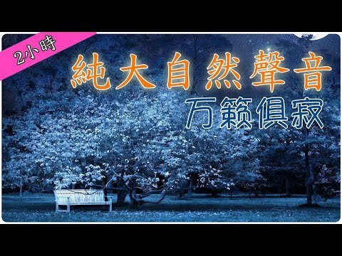 純大自然聲音 万籁俱寂 Nature Music night field