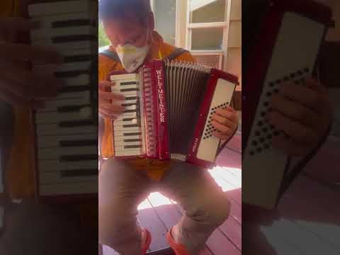 Weltmeister Perle 48 Accordion Red image 7