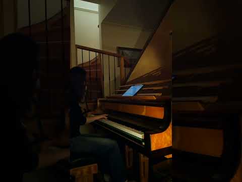 Beethoven Waldstein Sonata 21 part 3/3 #piano #practice #classicalmusic #shorts