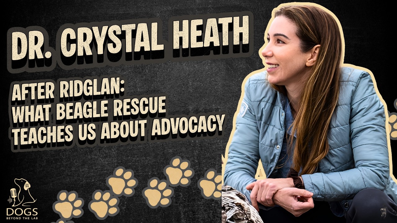 After Ridglan: What Beagle Rescue Teaches Us About Advocacy