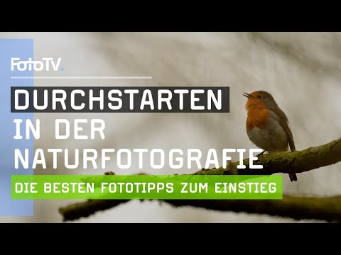 Naturfotografie-Tipps für Anfänger - diese Tricks helfen euch beim Durchstarten 🏔️​ | FotoTV.
