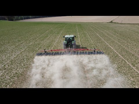 Mechanische Beikrautregulierung bei Triticale mit dem Striegel