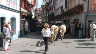 preview picture of video 'Viehschau Appenzell'