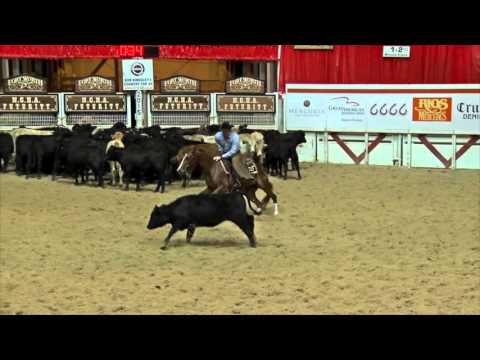 SDP Hydrive Genes 2015 NCHA Futurity NP