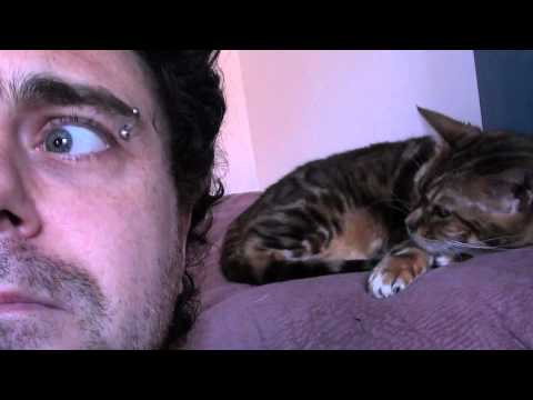 YES! STATION! CAT! YES! - TP057