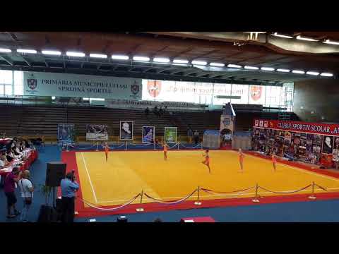 CSS 2 Baia Mare, Ansamblu categoria mica gimnastă