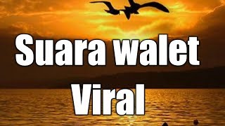 Download lagu Suara walet super respon - asal kan tepat twiter nya mp3 Download lagu Suara walet super respon - asal kan tepat twiter nya mp3