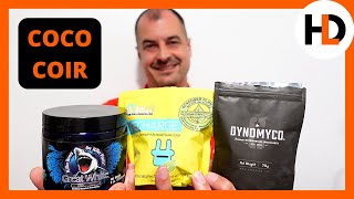 3 Way Mycorrhizae Experiment: Roots & Growth Explode?