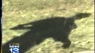 Roswell Crash Sites Exposed
