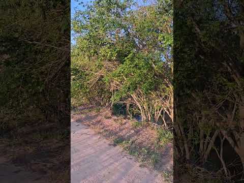 Alumínio-SP