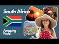 South Africa for kids – an amazing and quick guide to South Africa