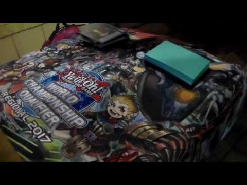 First Place Ft. Worth Regional - Shelby Redmon - Paleozoic Zoodiac