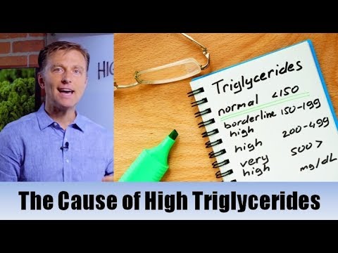 The True Cause of High Triglycerides – Dr. Berg