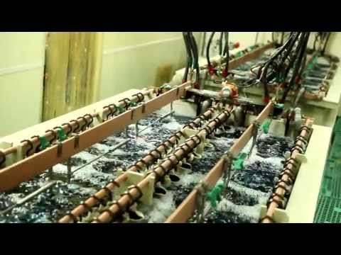 PCB廠房設備簡介 -『綠光影音「專業錄影」整合行銷有限公司』http://www.green-light.com.tw
