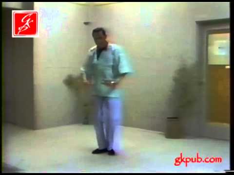 T'ai Chi Chih: Principles by Justin Stone