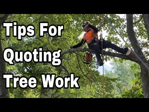 Tips For Quoting Tree Removal & Tree Work Jobs | THINGS YOU NEED TO CONSIDER