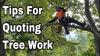 Tips For Quoting Tree Removal & Tree Work Jobs | THINGS YOU NEED TO CONSIDER
