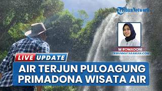 Primadona Baru Wisatawan di Bondowoso! Air Terjun Puloagung: Destinasi Favorit dengan View Ikonik