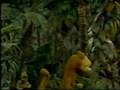 Classic Sesame Street On Vacation With Guy Smiley