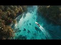 Killer Shark 2021 TERROR SUSPENSE Mejor Película En Español Latino HD