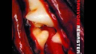 Carnivore - Predator