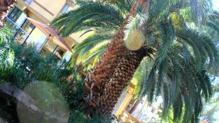Avalon at Warner Center Apartments - Tour Guide