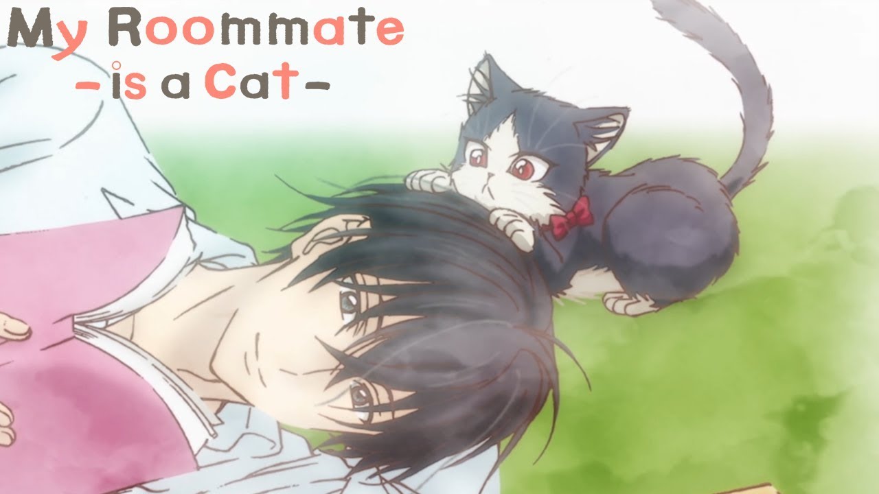 Kimi no tonari watashi no basho