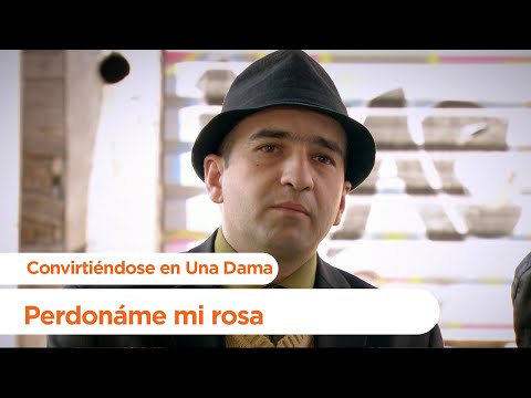 Kobra pide perdón de Gulnaz - Convirtiéndose en Una Dama | Gönülcelen