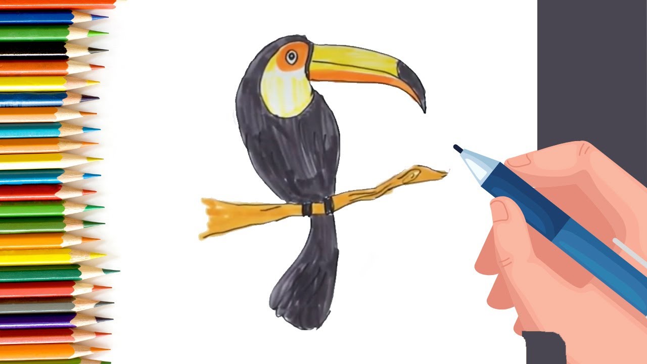 How to Draw easy Toucan Bird for Kids