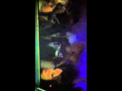 Adam Shelton @ Back to Basics