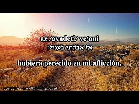 Lulei - Mordechai Ben David | Psalm 119:92 | Song of Torah