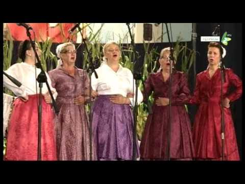 ŠEDZI MLODA ZA STOLJIKOM - KUD "Petro Kuzmjak", Nove Orahovo