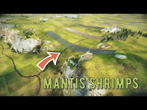 Can 23,000 Mantis Shrimps Defeat 7 Squads - UEBS 2