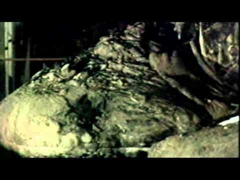 Chernobyl: Battle of chernobyl