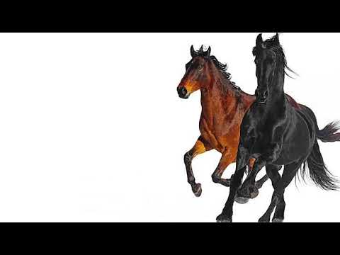 Lil Nas X & Billy Ray Cyrus - Old Town Road (KURA Remix)