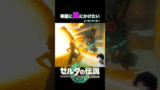 想像と全然ちゃう！ #ゼルダの伝説ティアーズオブザキングダム