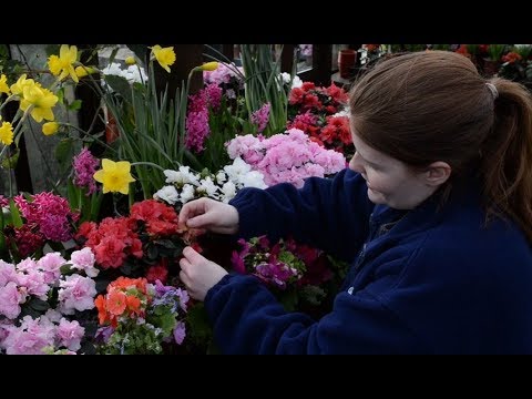 Horticultural worker video 2