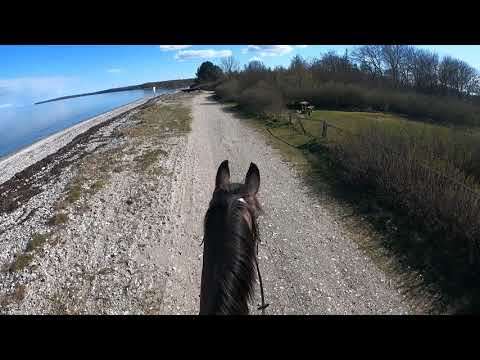 Trail riding with us