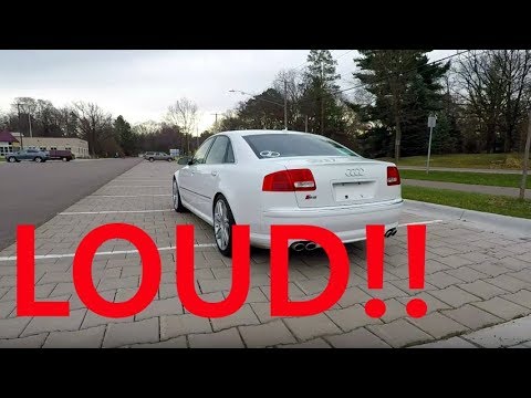 My Audi S8 Sounds Like a LAMBORGHINI!!!
