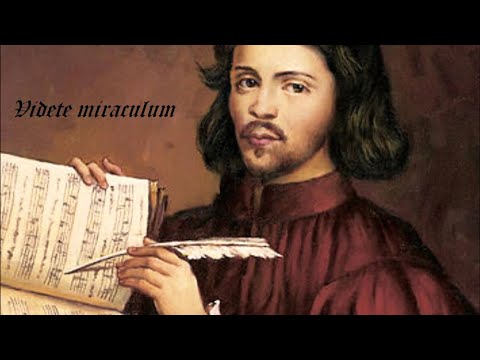 Thomas Tallis - Videte miraculum