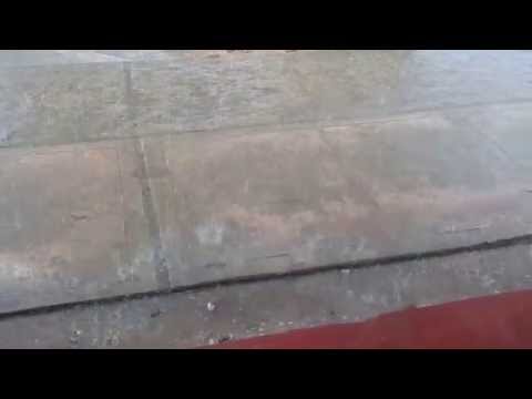 Platzregen im Regenwald