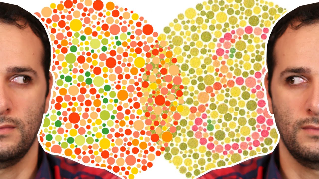 Você enxerga todas as cores? Faça o teste!