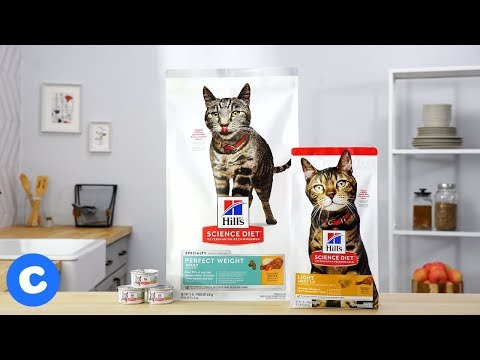 Hill's Science Diet Special Needs Cat Food | Chewy