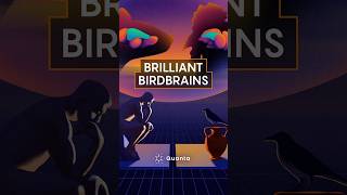 Thumbnail for Did Intelligence Evolve Twice?