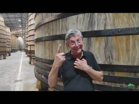 Humberto Cereser - Conta a História da Família Cereser