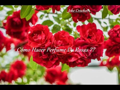 👌 How to Make Rose Perfume? Homemade🌹🌹🌹@jekecrochet