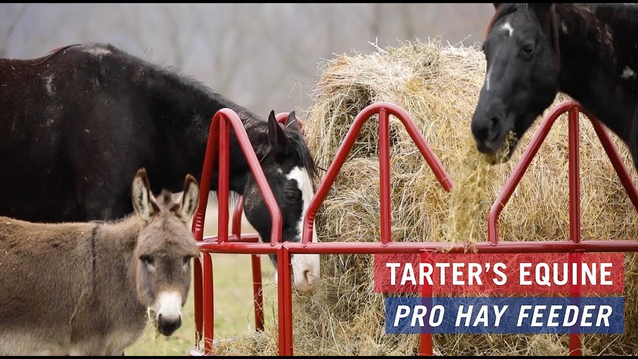 Equine Pro Hay Feeder W/ Hay Saver Tarter USA