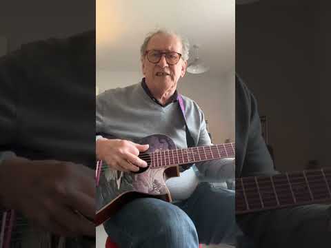 Lindo Ryokou Electro Acoustic Guitar