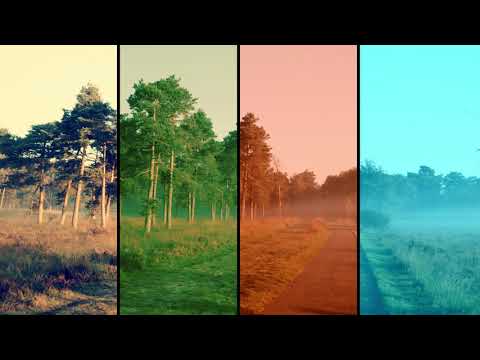 Story of Prophet Muhammad Helping an Old Woman - By Omar Suleiman